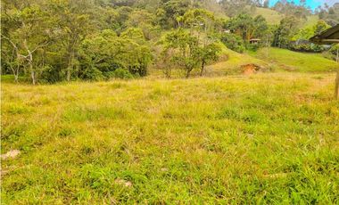 lote en caldas sector primavera la tolva