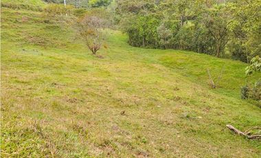 lote en caldas sector primavera la tolva