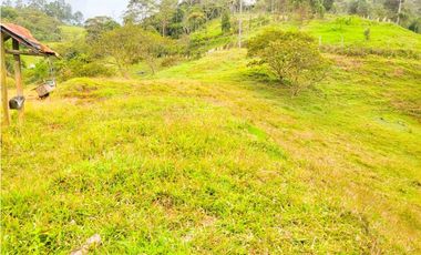 lote en caldas sector primavera la tolva