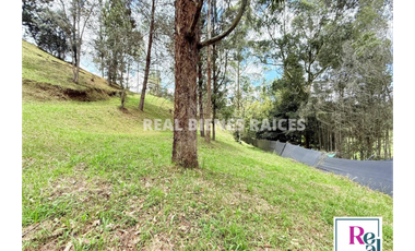 Venta de lote en vereda Lejos del Nido – La Ceja