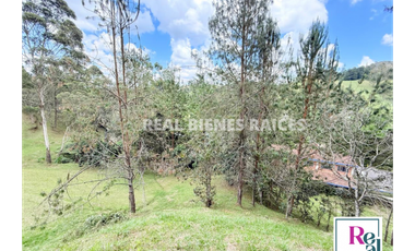 Venta de lote en vereda Lejos del Nido – La Ceja