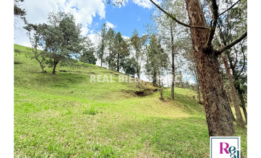 Venta de lote en vereda Lejos del Nido – La Ceja