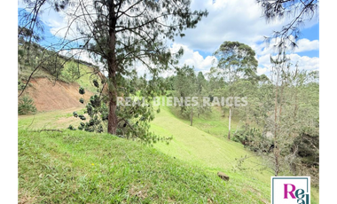 Venta de lote en vereda Lejos del Nido – La Ceja