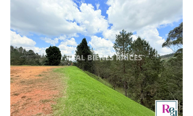 Venta de lote en vereda Lejos del Nido – La Ceja