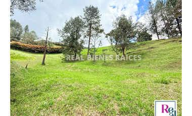 Venta de lote en vereda Lejos del Nido – La Ceja