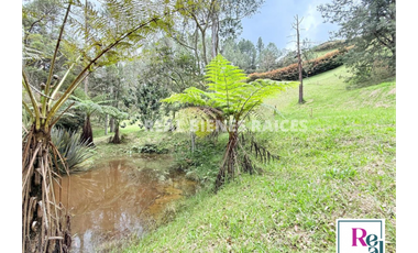 Venta de lote en vereda Lejos del Nido – La Ceja