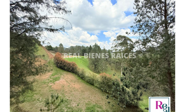 Venta de lote en vereda Lejos del Nido – La Ceja
