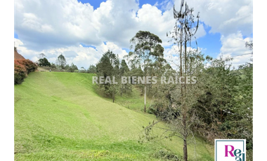 Venta de lote en vereda Lejos del Nido – La Ceja