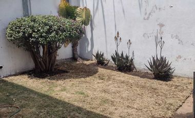 METEPEC RENTA SAN CARLOS
