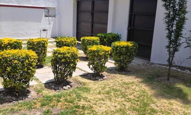 METEPEC RENTA SAN CARLOS