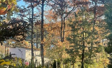 DOS CABAÑAS  AMUEBLADAS EN VENTA EN TAPALPA, UBICADAS EN FERRERIA DE TULA,