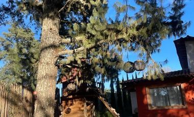 DOS CABAÑAS  AMUEBLADAS EN VENTA EN TAPALPA, UBICADAS EN FERRERIA DE TULA,