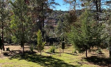 DOS CABAÑAS  AMUEBLADAS EN VENTA EN TAPALPA, UBICADAS EN FERRERIA DE TULA,