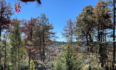 DOS CABAÑAS  AMUEBLADAS EN VENTA EN TAPALPA, UBICADAS EN FERRERIA DE TULA,