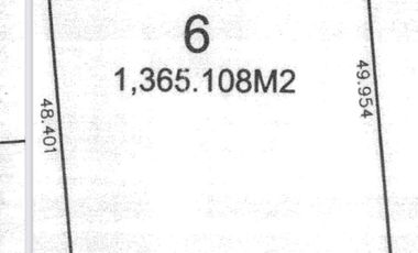 Jiménez Cantú en Zona Esmeralda