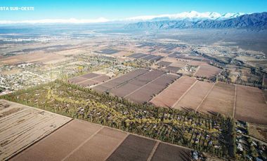 Terreno en  Venta en Vistalba, Mendoza