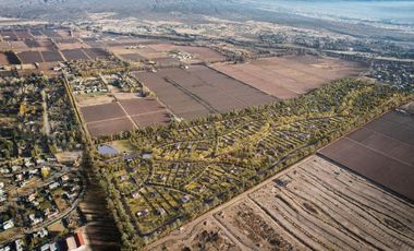 Terreno en  Venta en Vistalba, Mendoza