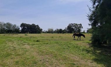Chacra en Puerto Panal