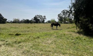 Chacra en Puerto Panal