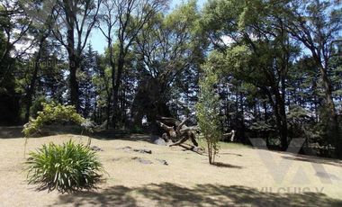 CASA EN RENTA EN SAN NICOLÁS TLAZALA, CAPULHUAC