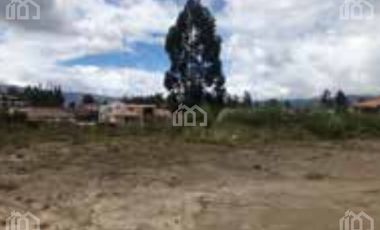 TERRENO DE VENTA EN LAS ABRAS SECTOR U E EL DESPERTAR