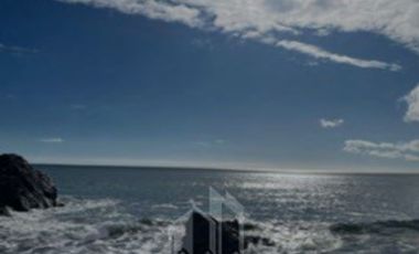 Agrícola en Venta en COD38626 Ruta Los Conquistadores Sauzal Cauquenes