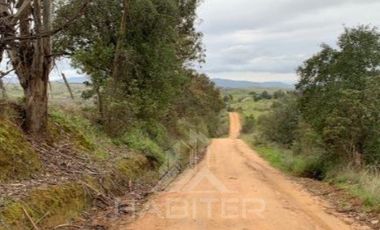 Agrícola en Venta en COD38626 Ruta Los Conquistadores Sauzal Cauquenes