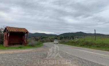 Agrícola en Venta en COD38626 Ruta Los Conquistadores Sauzal Cauquenes