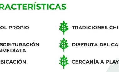 Agrícola en Venta en COD38626 Ruta Los Conquistadores Sauzal Cauquenes