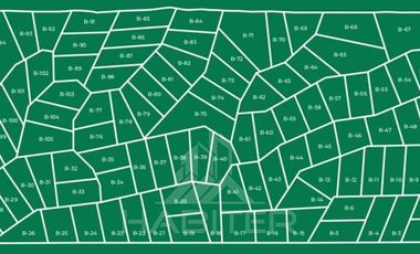 Agrícola en Venta en COD38626 Ruta Los Conquistadores Sauzal Cauquenes