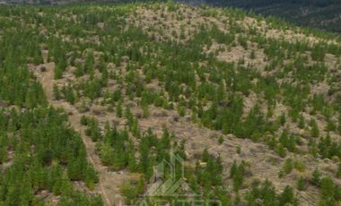 Agrícola en Venta en COD38626 Ruta Los Conquistadores Sauzal Cauquenes