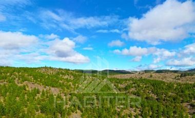 Agrícola en Venta en COD38626 Ruta Los Conquistadores Sauzal Cauquenes