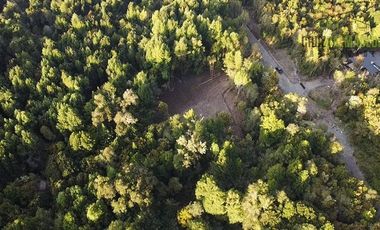 Parcela en Venta en Parcela en Polincay - Parcelación Alerce Escondido