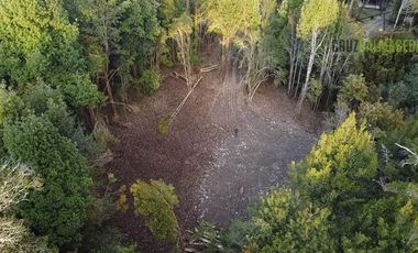 Parcela en Venta en Parcela en Polincay - Parcelación Alerce Escondido