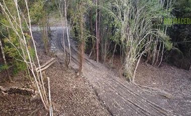 Parcela en Venta en Parcela en Polincay - Parcelación Alerce Escondido