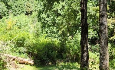 Parcela en Venta en Ruta S- 965 Cunco Quililche, Región de la Araucanía