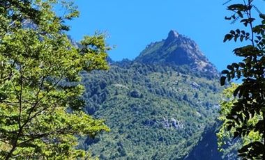 Parcela en Venta en Ruta S- 965 Cunco Quililche, Región de la Araucanía