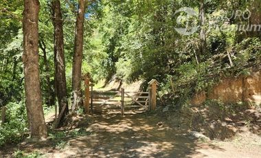 Parcela en Venta en Ruta S- 965 Cunco Quililche, Región de la Araucanía