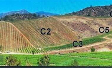 Agrícola en Venta en Casablanca