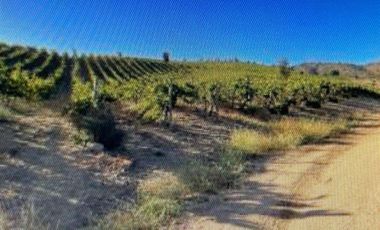 Agrícola en Venta en Casablanca