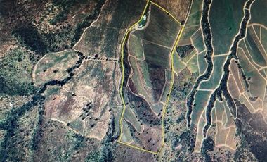 Agrícola en Venta en Casablanca