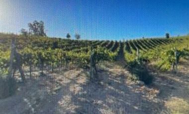 Agrícola en Venta en Casablanca