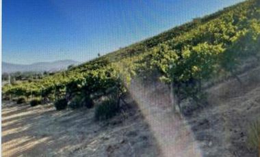 Agrícola en Venta en Casablanca