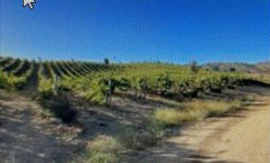 Agrícola en Venta en Casablanca