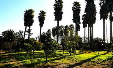 Casa en Venta en Parcela Ex Fundo Miraflores - San Pedro - Quillota