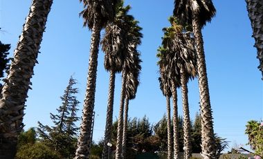 Casa en Arriendo en Parcela Ex Fundo Miraflores - San Pedro - Quillota