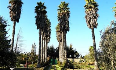 Casa en Arriendo en Parcela Ex Fundo Miraflores - San Pedro - Quillota
