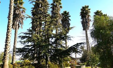 Casa en Arriendo en Parcela Ex Fundo Miraflores - San Pedro - Quillota