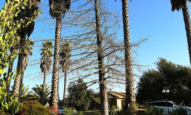 Casa en Arriendo en Parcela Ex Fundo Miraflores - San Pedro - Quillota