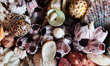 Casa en venta en Telchac Puerto, Yucatan